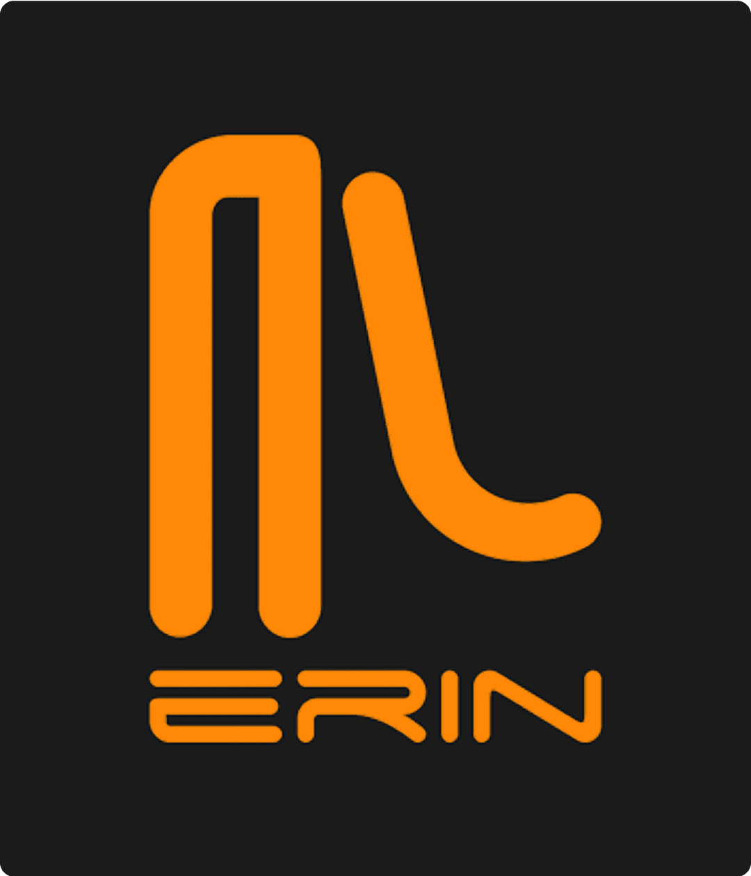 ERIN The Brand Logo